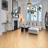 Karndean Vinyl Floor
Maple Rigid Core